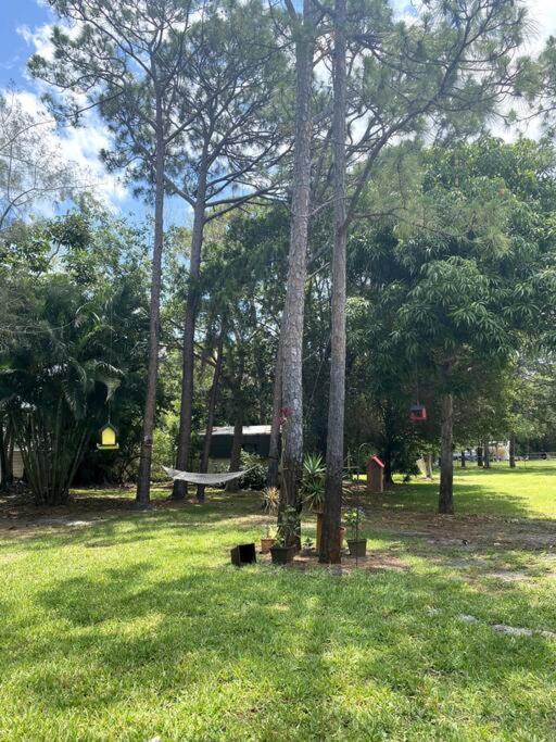 Jungle Oasis In The Heart Of The Treasure Coast Vila Walton Exterior foto